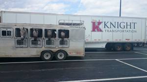 An ironic coincidence! 