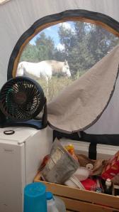 Love the setup here. Marcus is right by my tent, so I get to hear his farts all the time! 